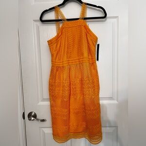 NWT Tahari ASL On‎ My Mind Honey Dress 2